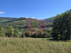 Teren intravilan 1825 mp de vanzare in Valea Doftanei