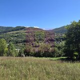 Teren intravilan 1825 mp de vanzare in Valea Doftanei