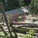 Teren intravilan 1825 mp de vanzare in Valea Doftanei