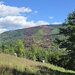 Teren intravilan 1825 mp de vanzare in Valea Doftanei