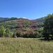 Teren intravilan 1825 mp de vanzare in Valea Doftanei