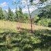 Teren intravilan 1825 mp de vanzare in Valea Doftanei