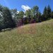 Teren intravilan 1825 mp de vanzare in Valea Doftanei
