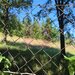 Teren intravilan 1825 mp de vanzare in Valea Doftanei